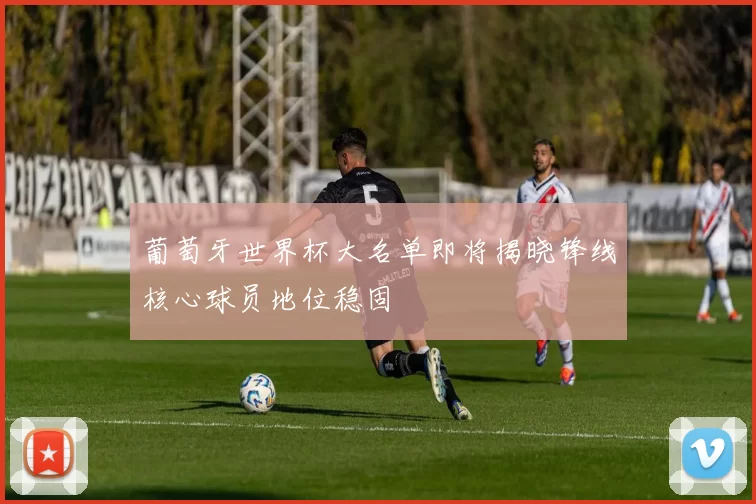 葡萄牙世界杯大名单即将揭晓锋线核心球员地位稳固