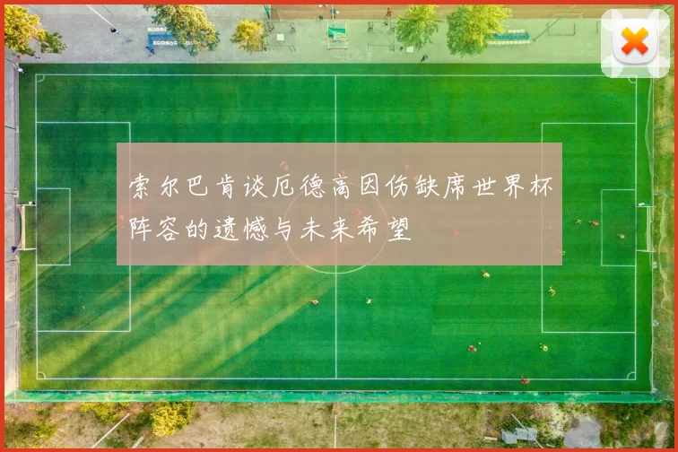 索尔巴肯谈厄德高因伤缺席世界杯阵容的遗憾与未来希望