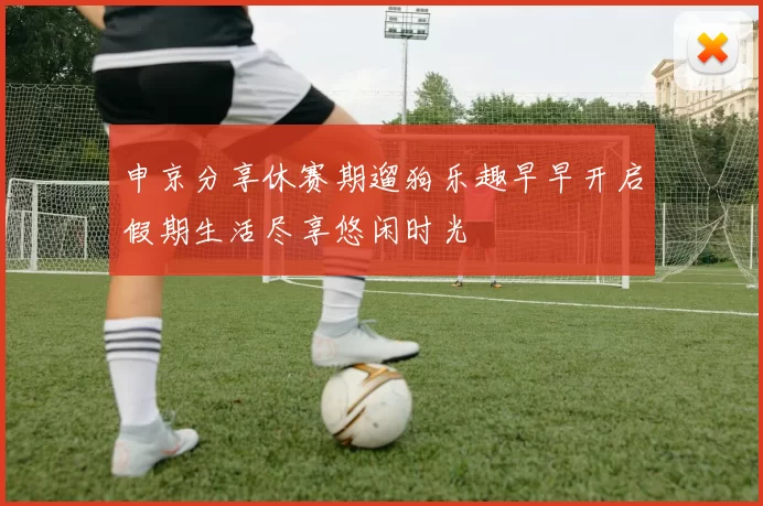 申京分享休赛期遛狗乐趣早早开启假期生活尽享悠闲时光